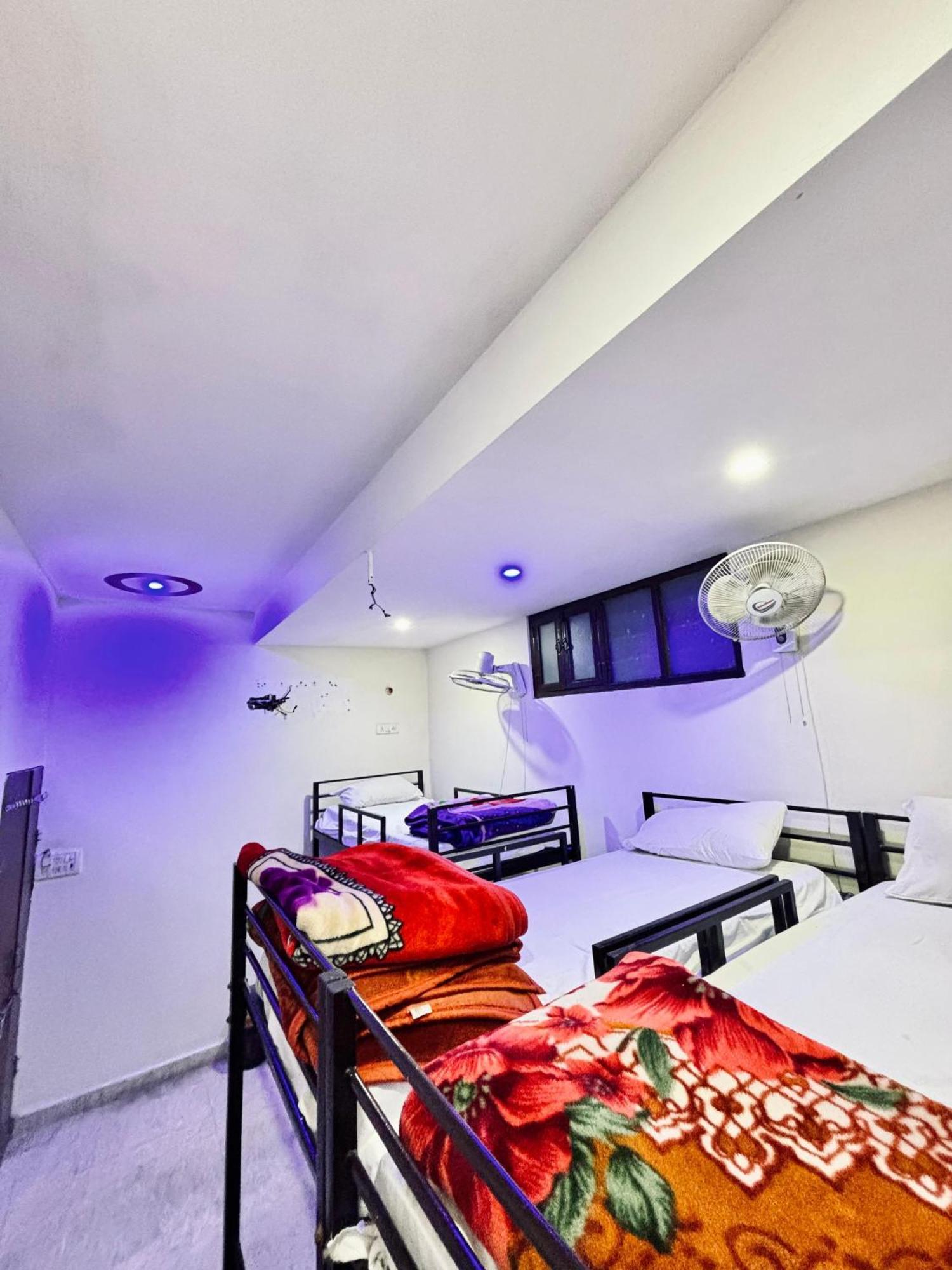 Hotel Royal Pinkcity ジャイプール エクステリア 写真